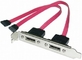 Serial ATA PC Backplate Adapter SATA Sockets 2 port,ESATA bracket for installation supplier